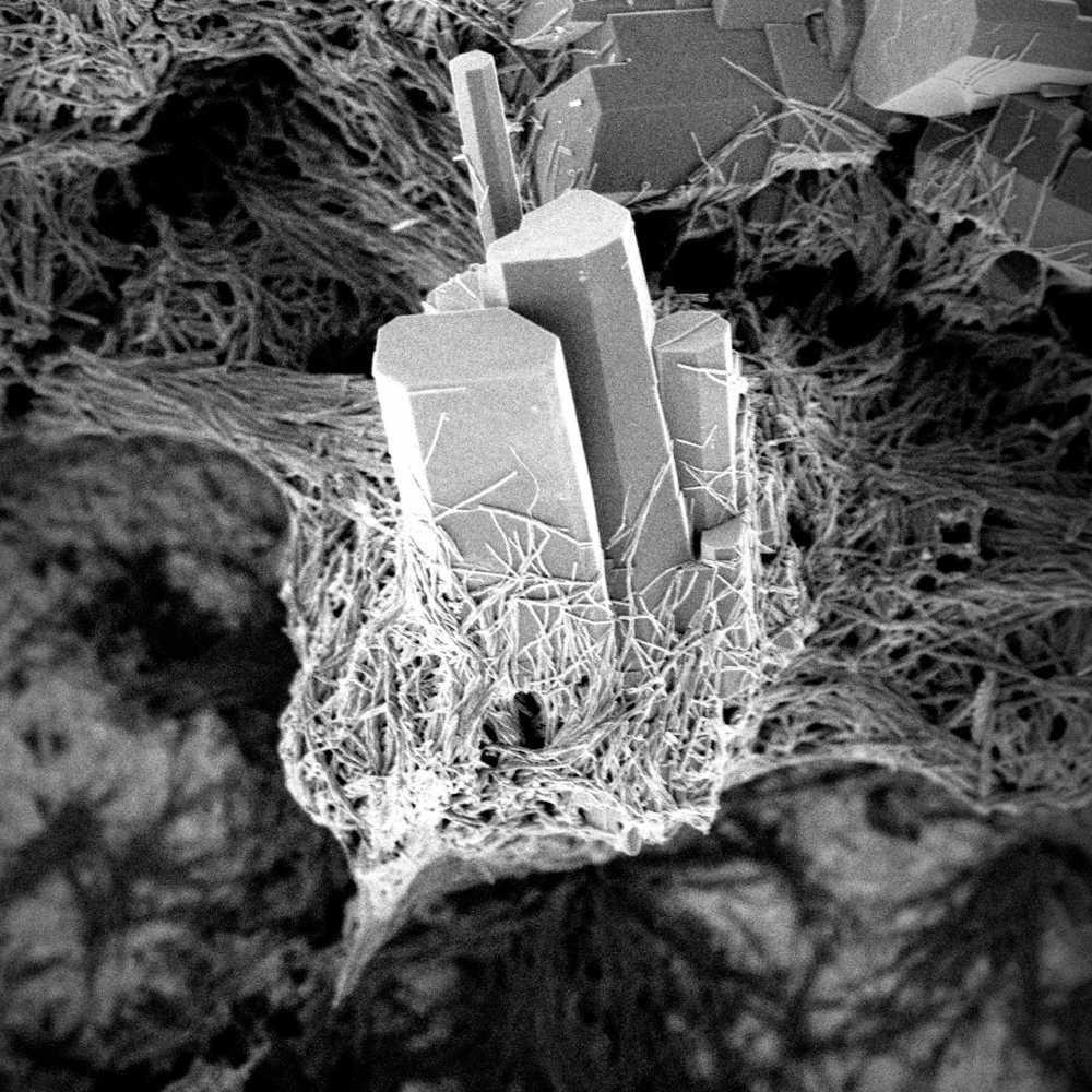 Andrea Rassell, OThe Space Between Certainties image